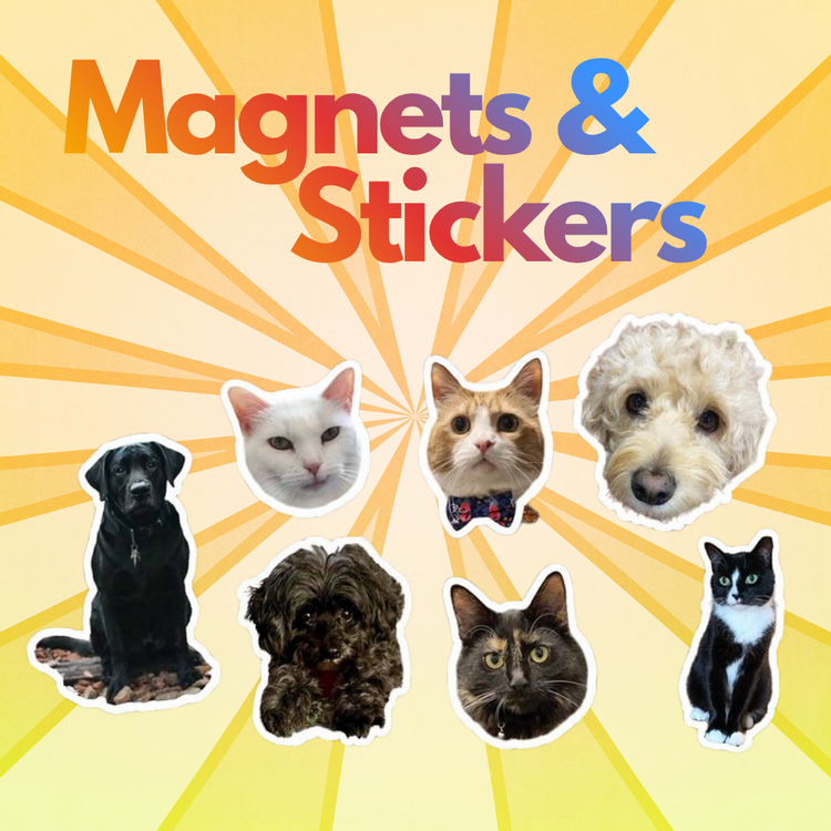 Magnets & Stickers