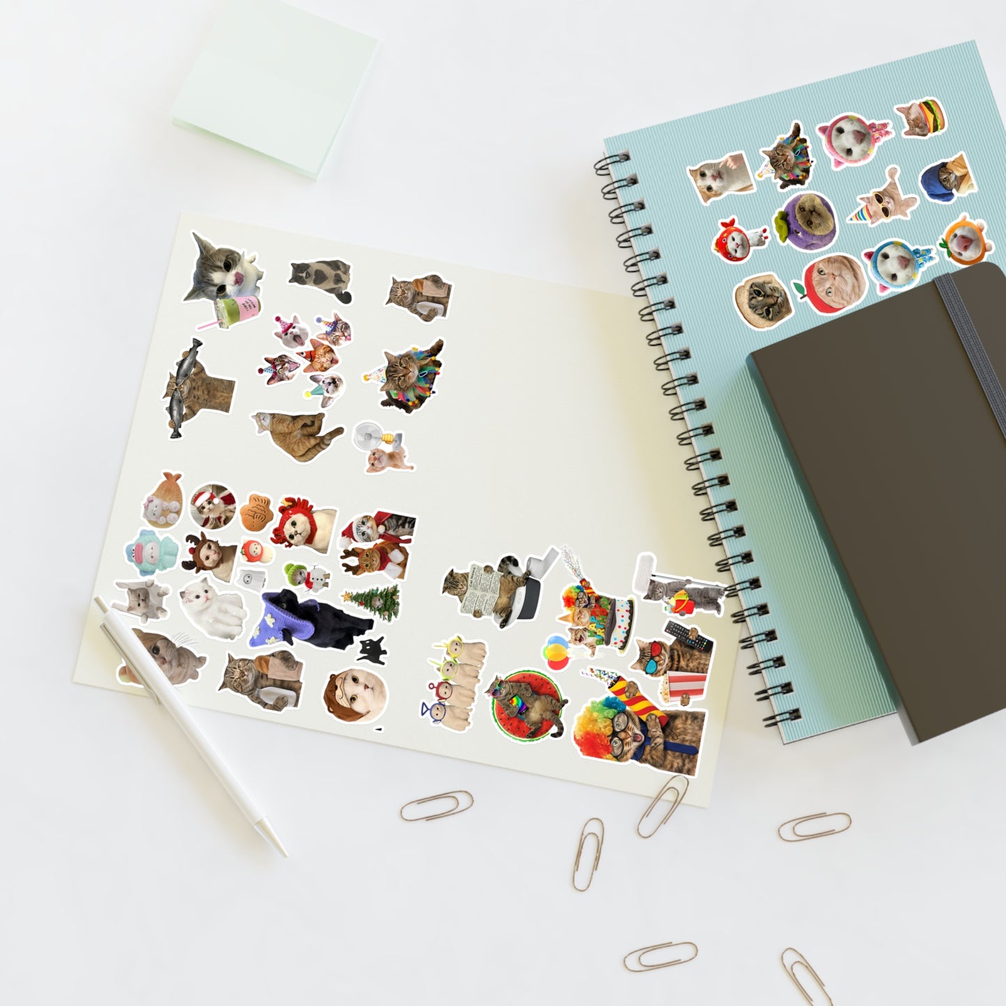 Assorted Cat Stickers Pack