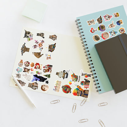 Assorted Cat Stickers Pack