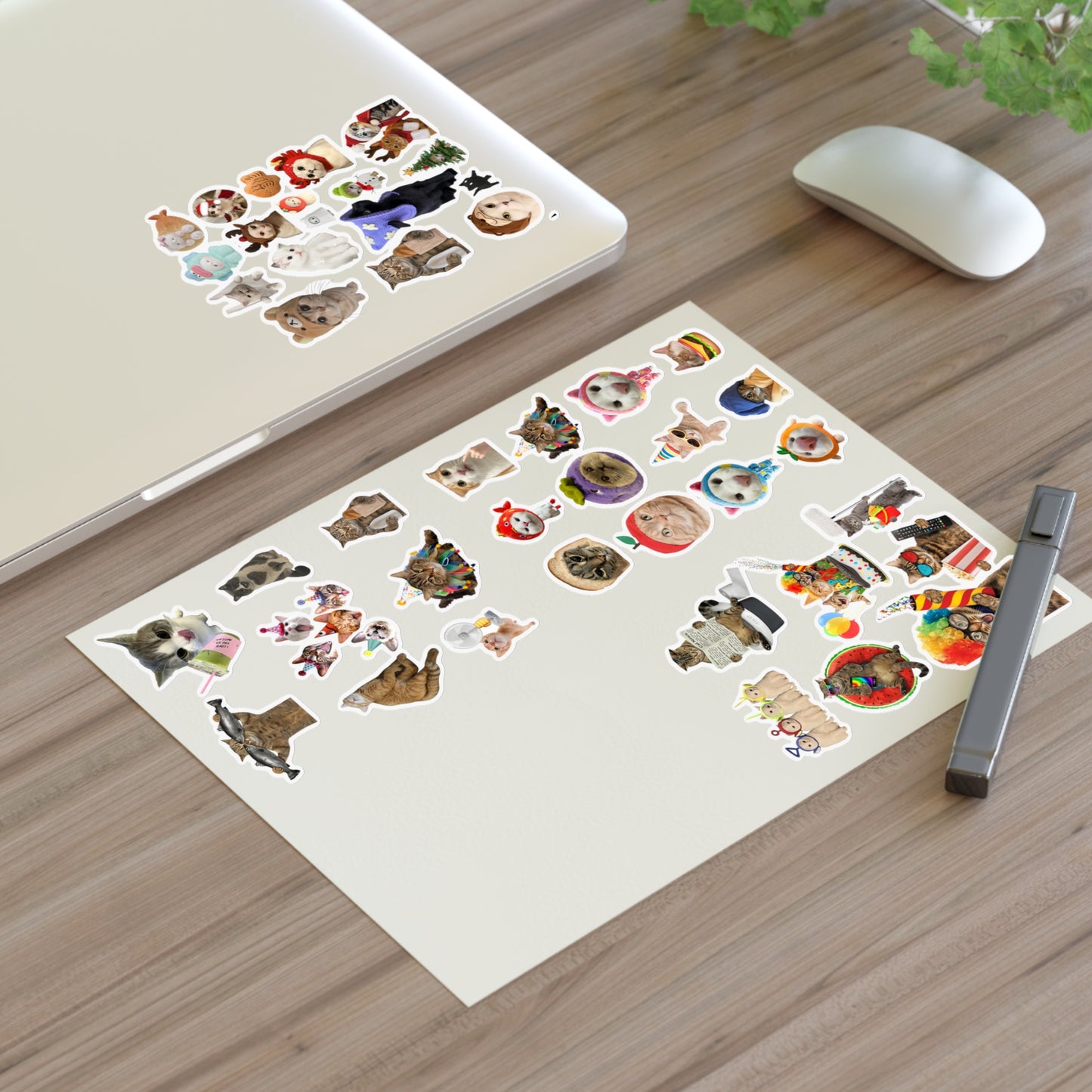 Assorted Cat Stickers Pack