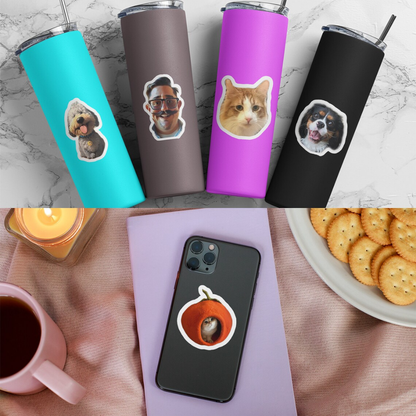 Assorted Cat Stickers Pack