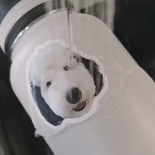 Assorted Cat Stickers Pack