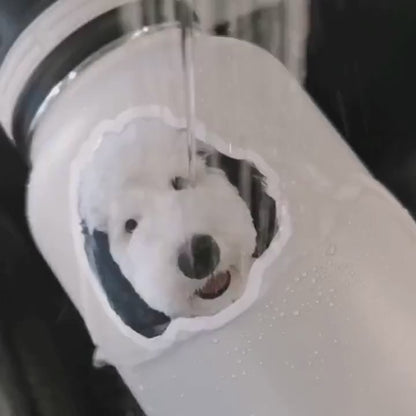 Assorted Cat Stickers Pack